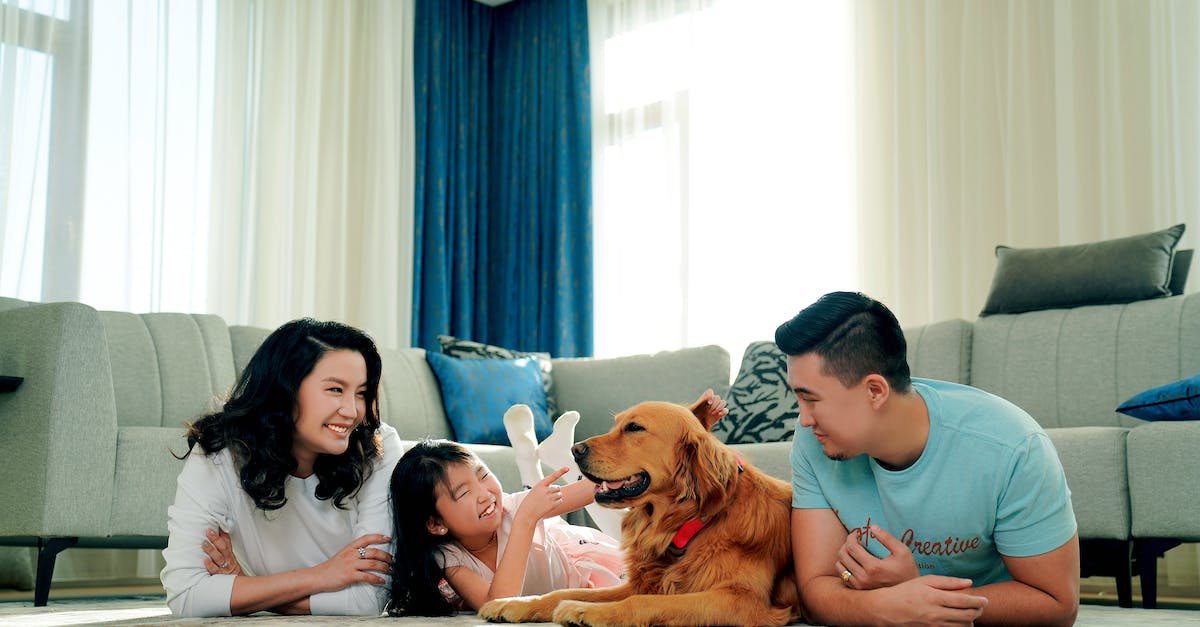 Descubra as 8 raças de cães mais brincalhonas e amorosas para crianças!