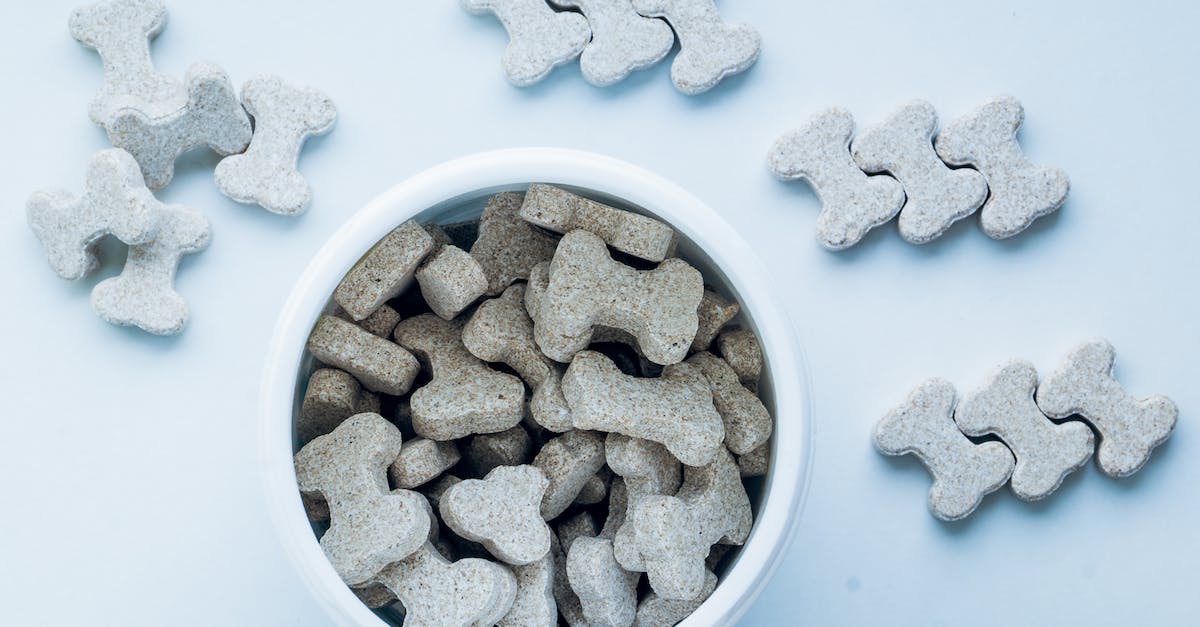 10 Receitas Deliciosas e Saudáveis de Biscoitos e Petiscos Caseiros Para o Seu Cão