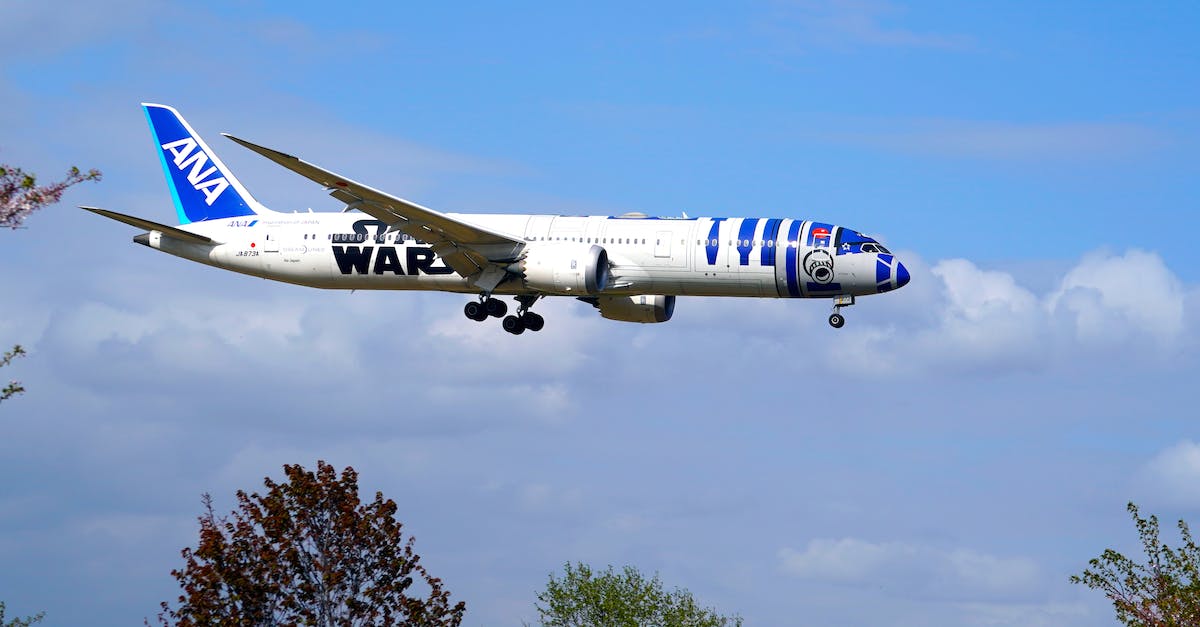 Guia completo: 8 dicas imprescindíveis para viajar de avião com seu cão