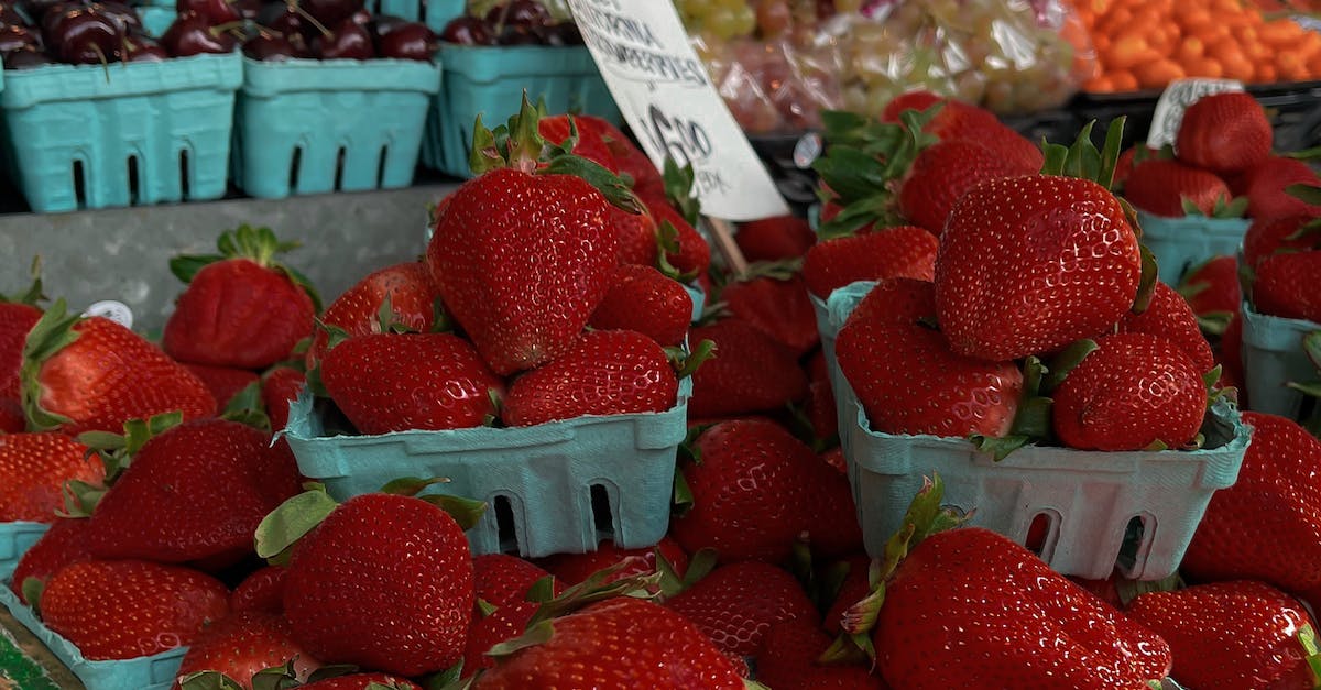 Guia completo: Alimente seu cão de forma saudável em 8 passos simples!
