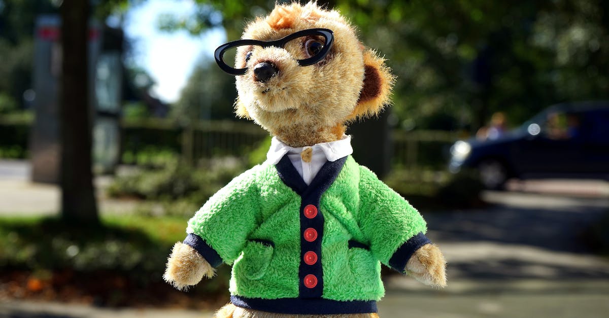 5 Passos Simples para Acabar com o Hábito de Escavar do seu Cão no Quintal”.