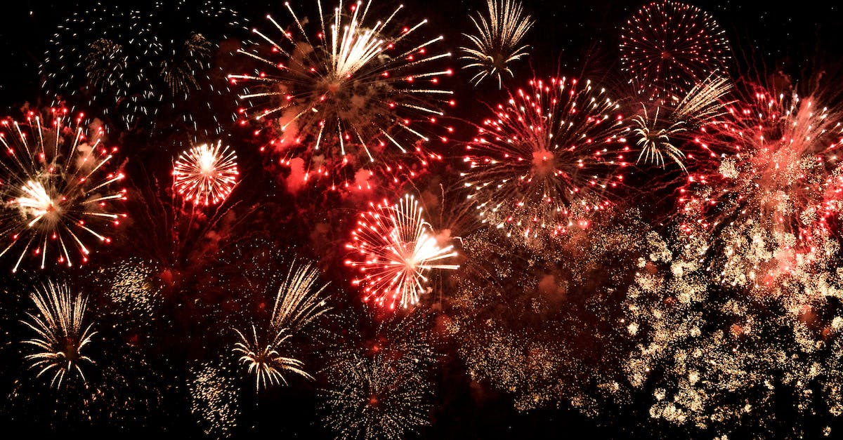 6 dicas infalíveis para acalmar cães assustados com fogos de artifício