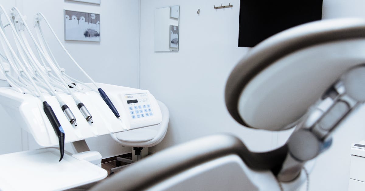 8 Dicas Essenciais Para Garantir a Saúde Dental do Seu Animal de Estimação