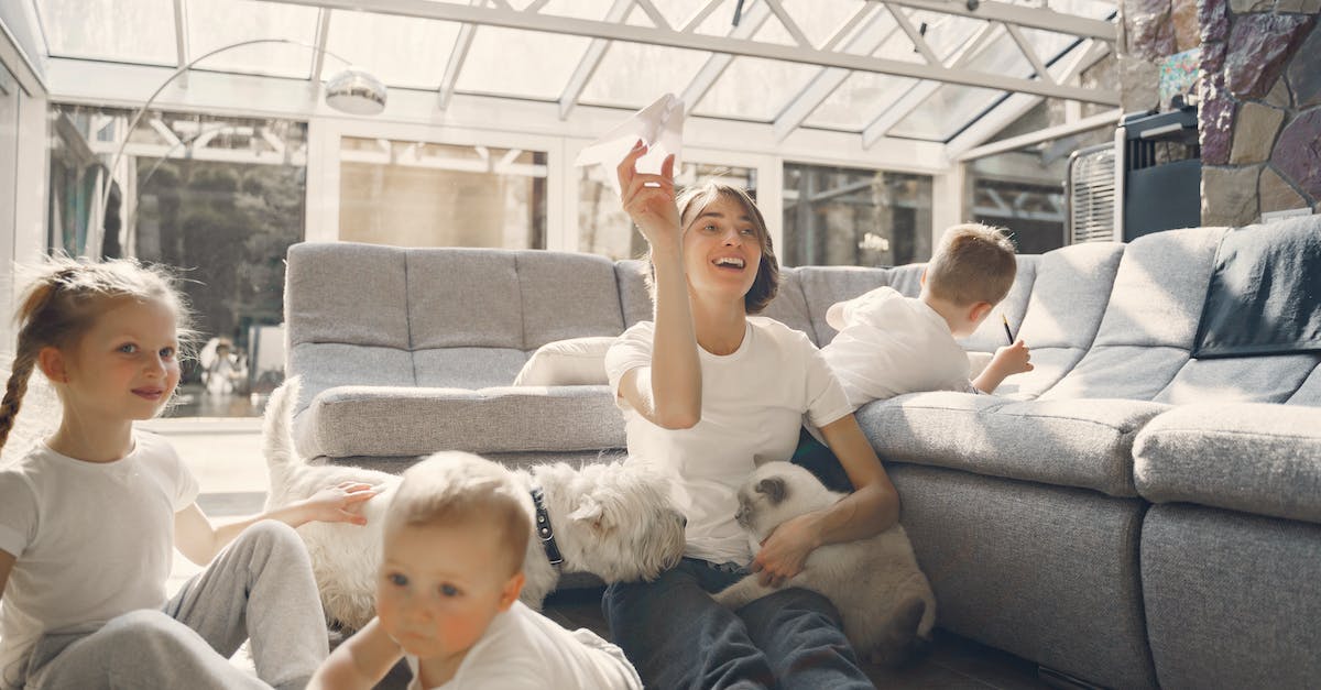 8 cuidados essenciais para garantir a saúde e bem-estar dos seus animais filhotes