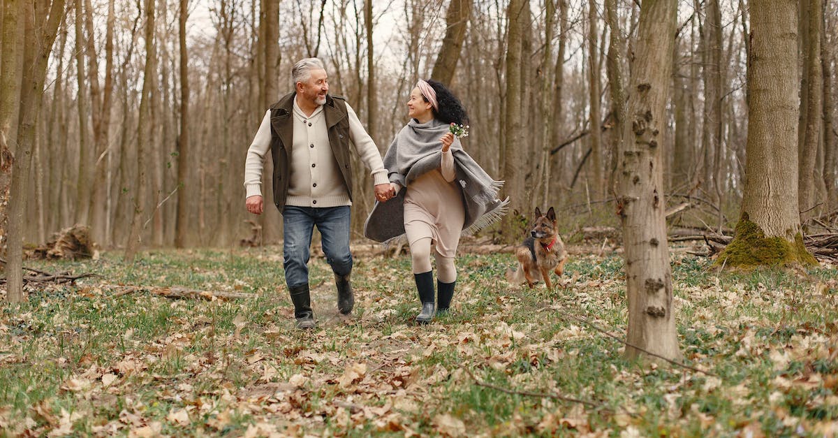 Descubra 8 curiosidades fascinantes sobre os cães pastor alemão que você ainda não sabia!