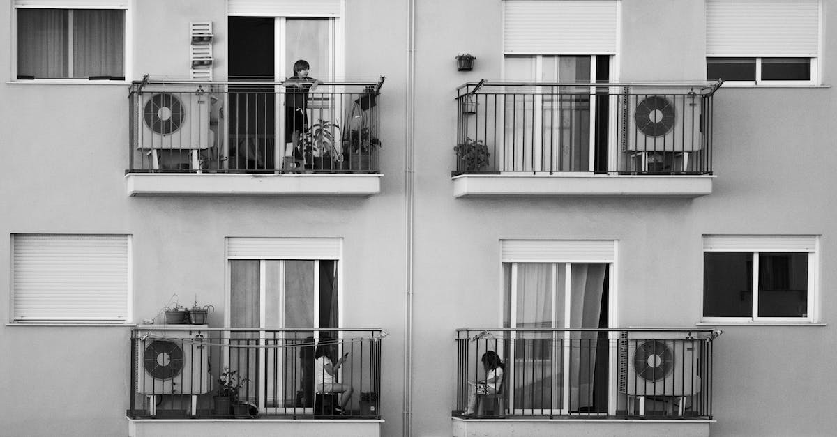 Tudo o que você precisa saber para conviver com vizinhos que não são fãs de animais em apartamentos