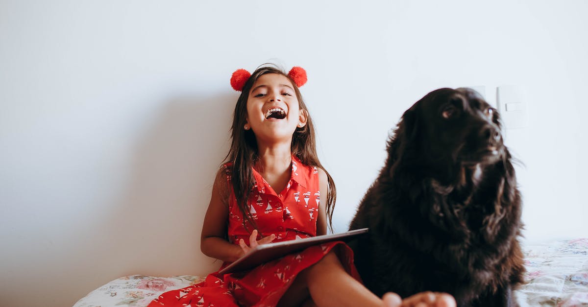 Descubra as melhores raças de cães para crianças mais velhas: guia completo e prático