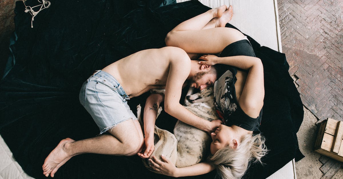 10 Passos Simples para Ensinar seu Pet a Usar a Caixa de Areia com Sucesso