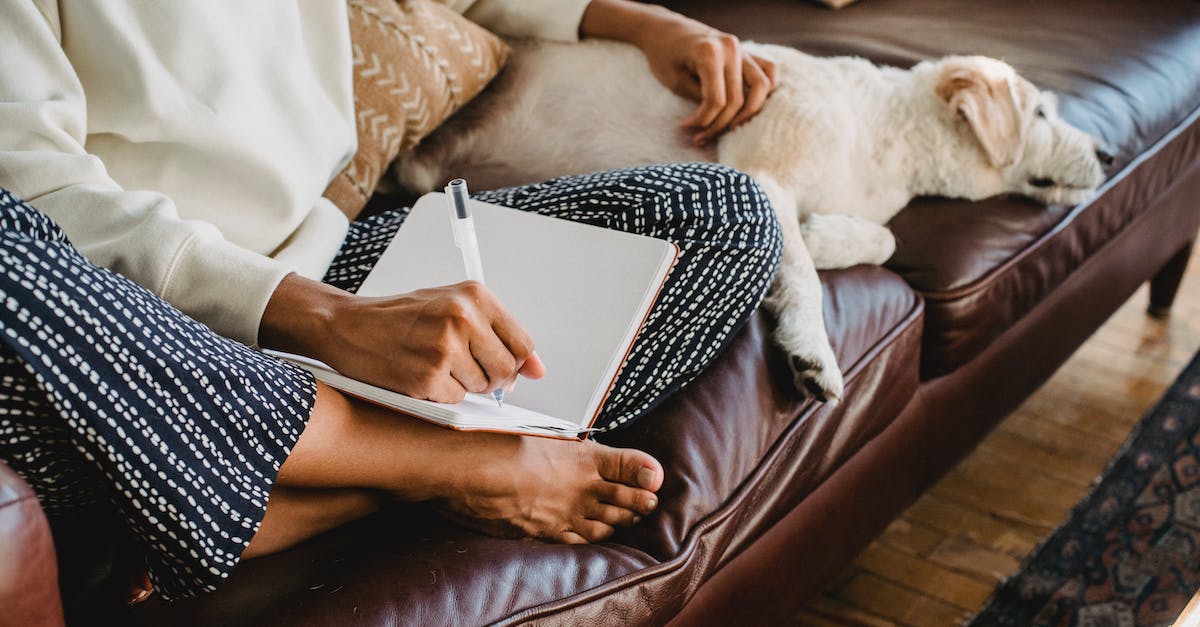 Técnicas infalíveis para harmonizar animais de estimação em apartamentos pequenos