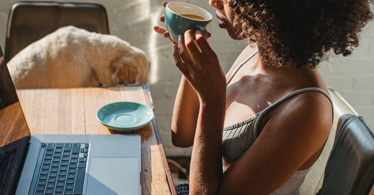 7 Dicas para Ensinar seu Pet a Ser mais Independente em Apartamentos