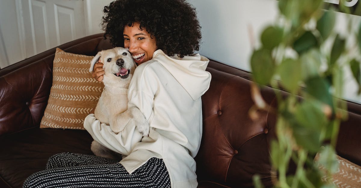 Tudo o que você precisa saber: como cuidar do seu pet pela primeira vez