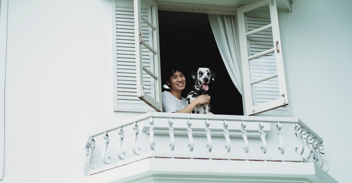 Técnicas infalíveis para ajudar seu cão a superar o medo de ficar na sacada