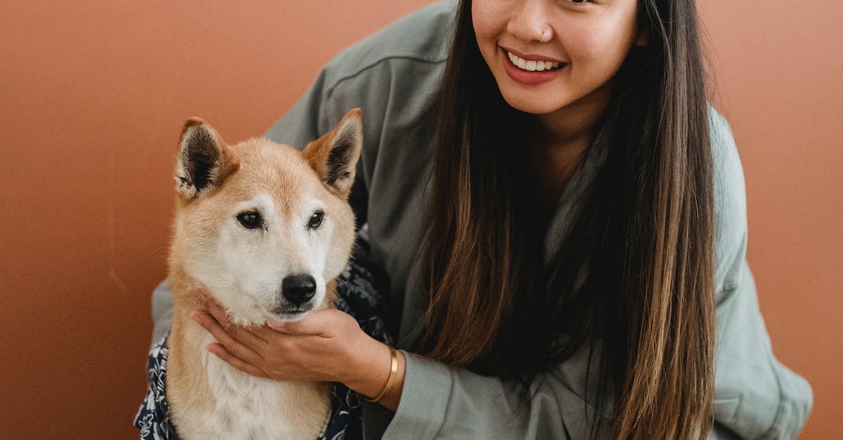 Explore a fascinante diversidade de raças de cães asiáticos: conheça suas histórias e características únicas