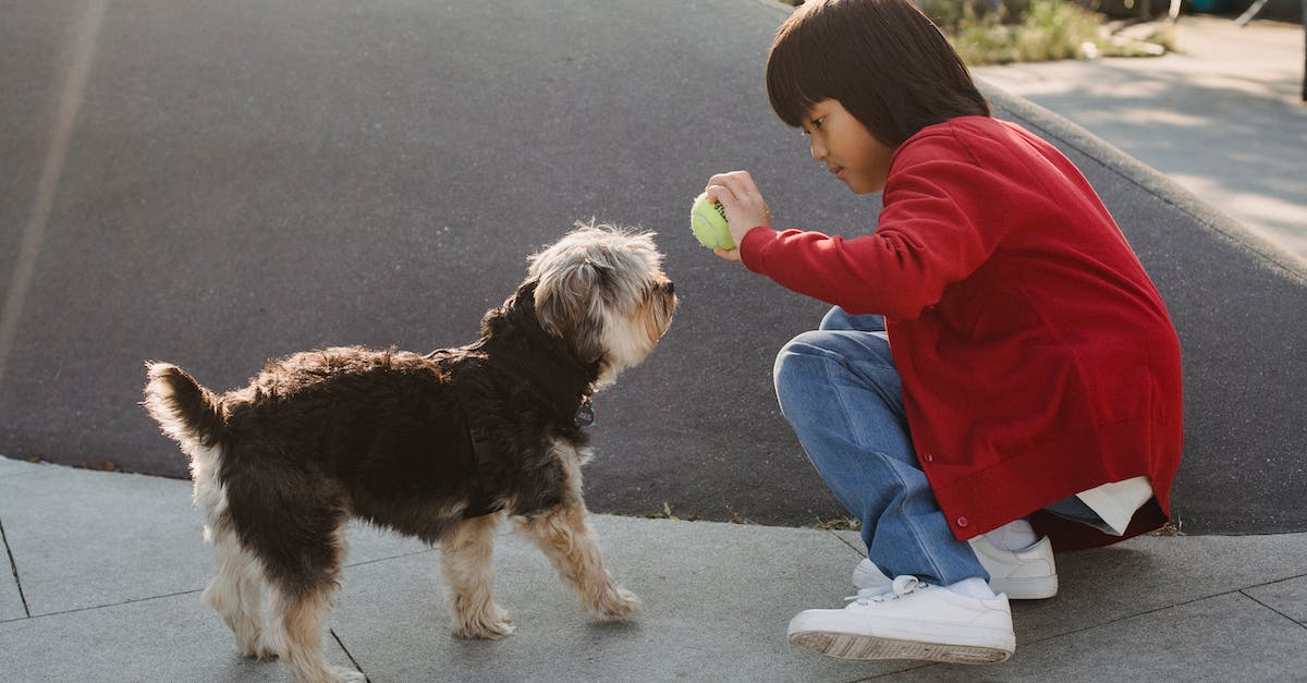 Conheça as 8 raças de cães ideais para crianças – Guia completo de comportamento, cuidados e diversão!