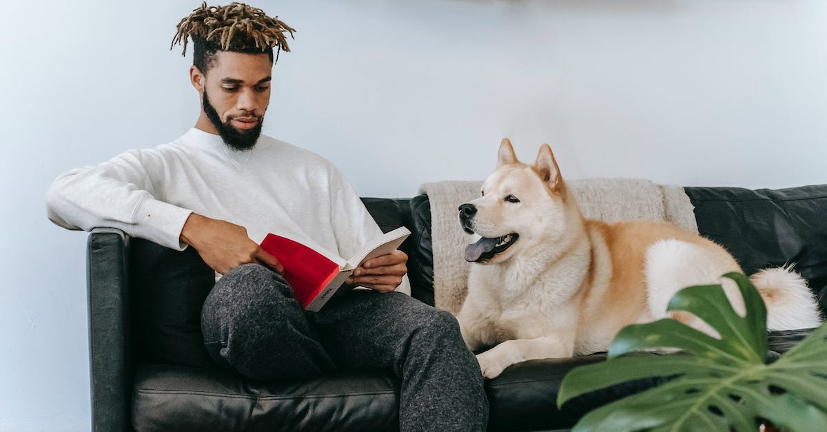 Guia completo para manter seu apartamento livre de pelos de animais de estimação: dicas práticas e eficazes