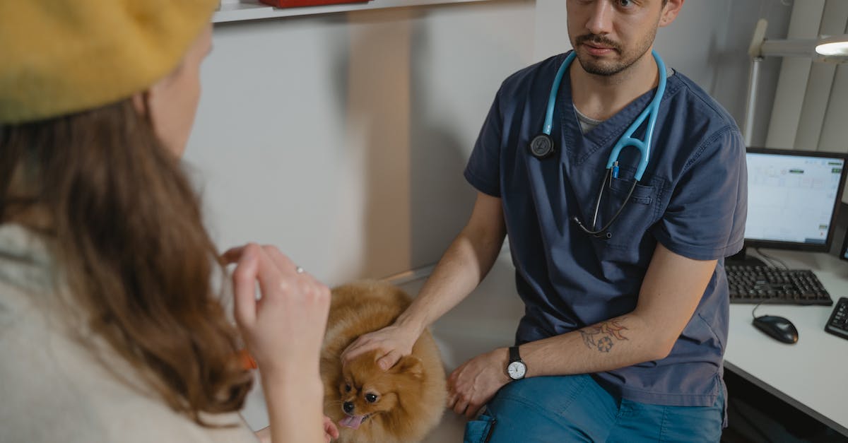 Tudo o que você precisa saber sobre consultas veterinárias para seus pets: do agendamento ao tratamento