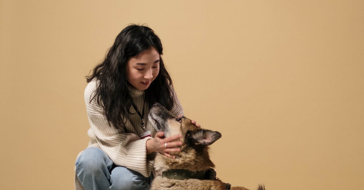 Não deixe seu pet sofrer em emergências: Saiba como agir e prevenir situações de risco!