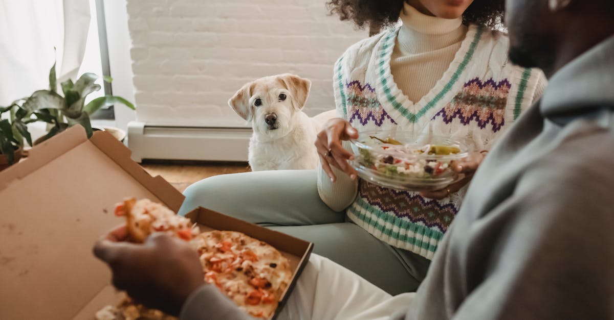 Tudo o que você precisa saber sobre a alimentação ideal para cães em apartamentos: dicas, cuidados e opções saudáveis!