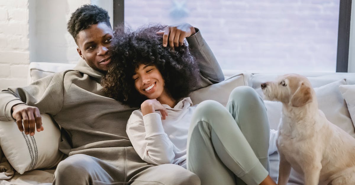 7 dicas práticas para ajudar seu animal de estimação a lidar com a solidão em apartamentos