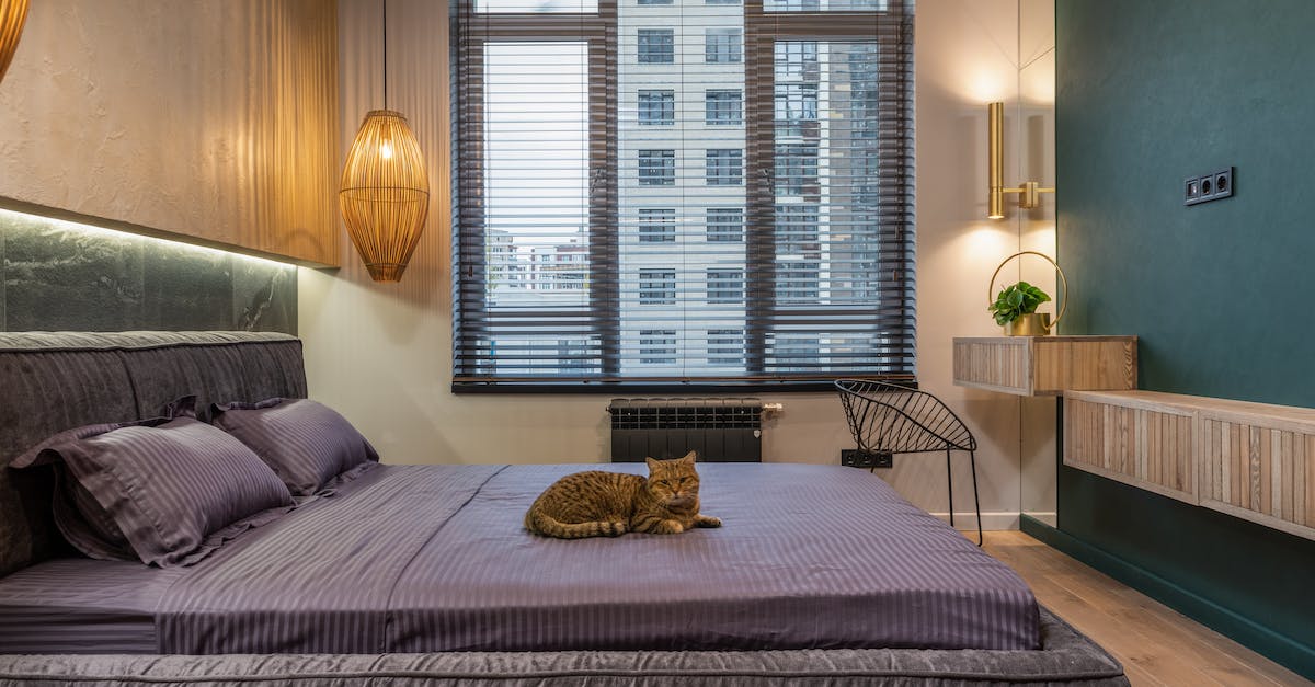 Transforme a vida do seu pet com camas personalizadas: dicas, tendências e modelos para todos os gostos!