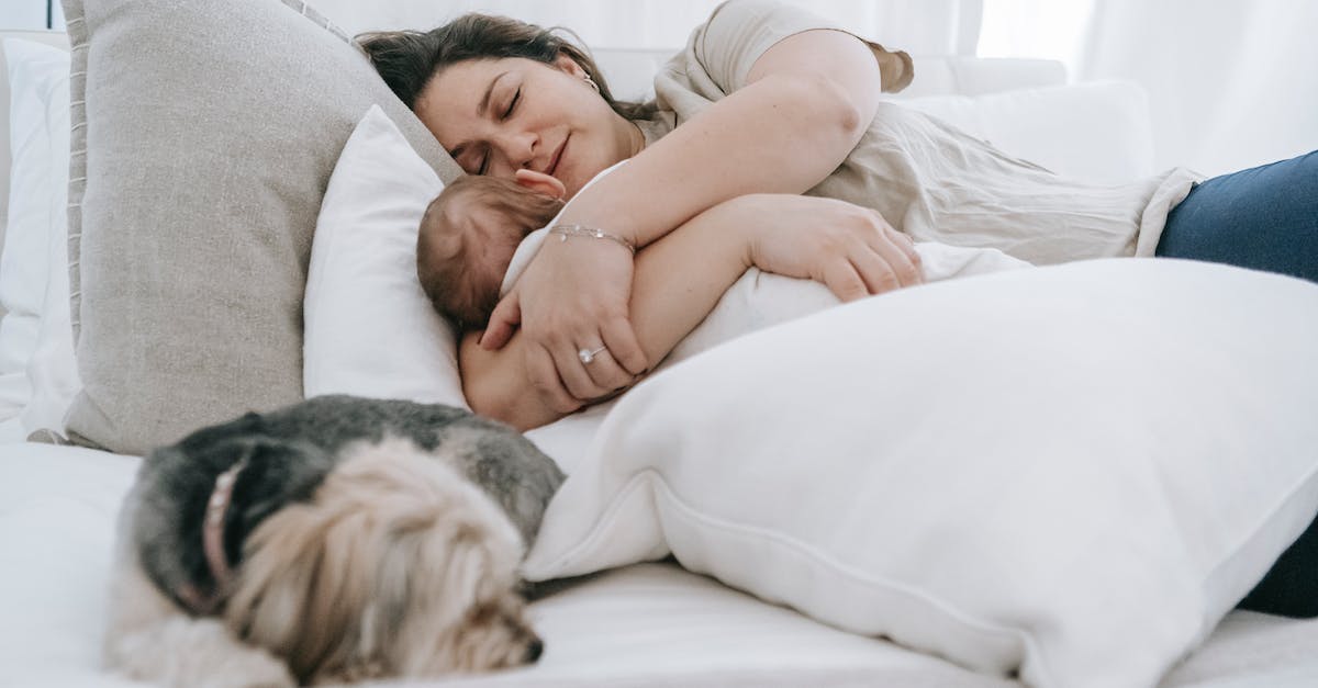 8 dicas infalíveis para escolher a creche perfeita para o seu cão: garantindo cuidados de qualidade e tranquilidade para você e seu pet.