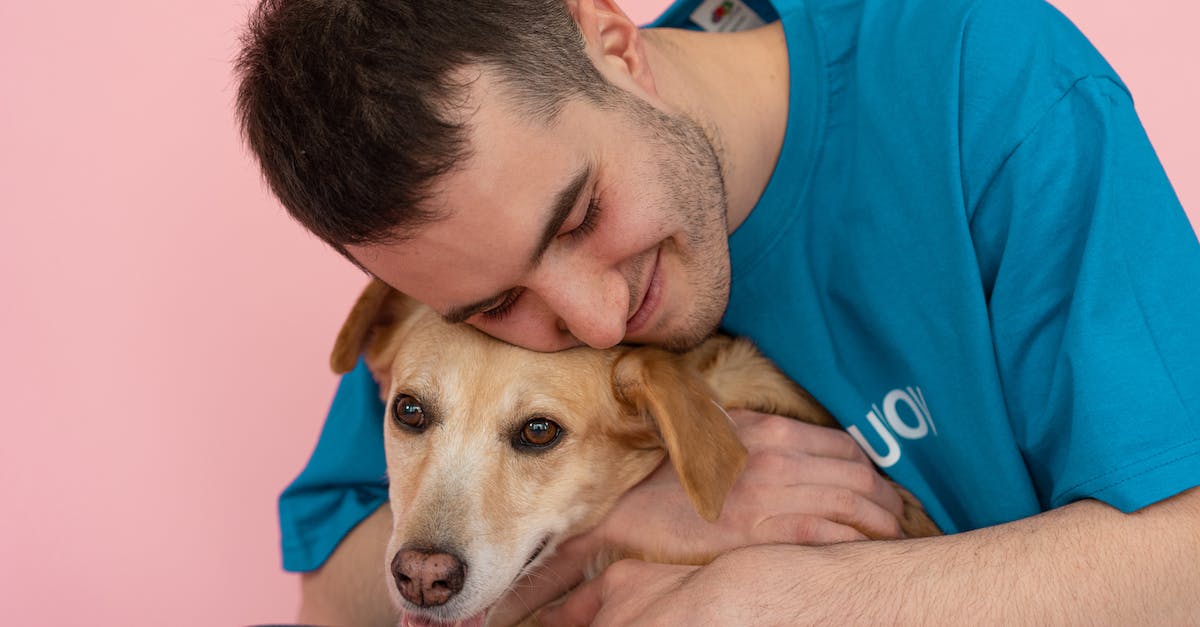 Guia completo: Prepare seu apartamento para receber um novo gato ou cão