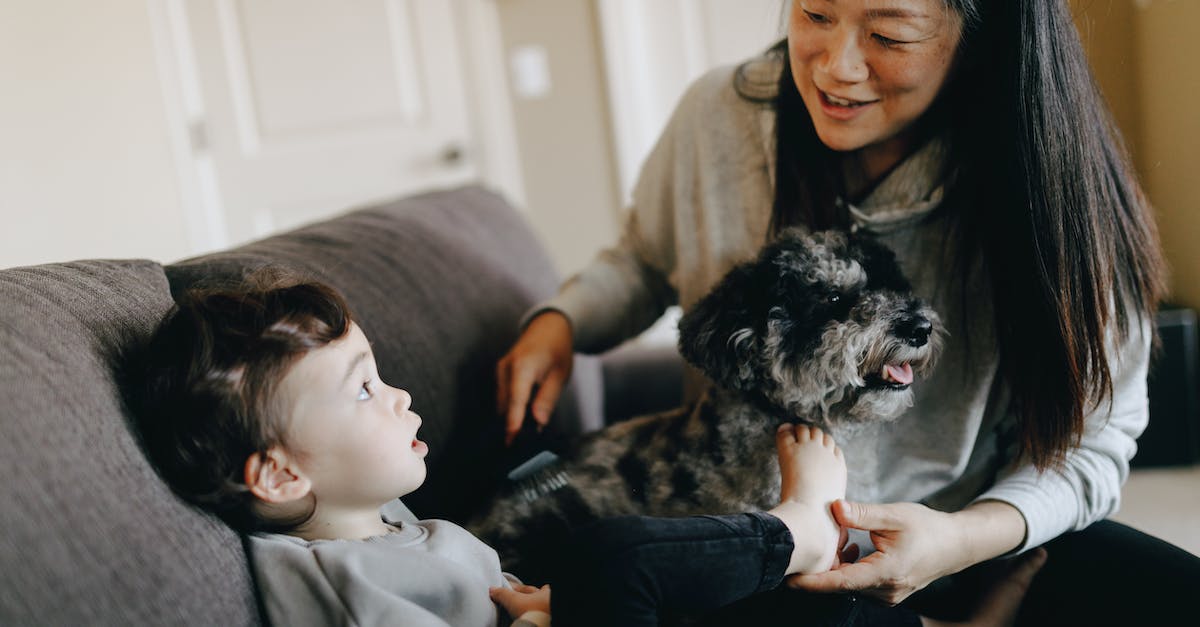 Tudo o que você precisa saber para criar cães e crianças juntos de forma harmoniosa